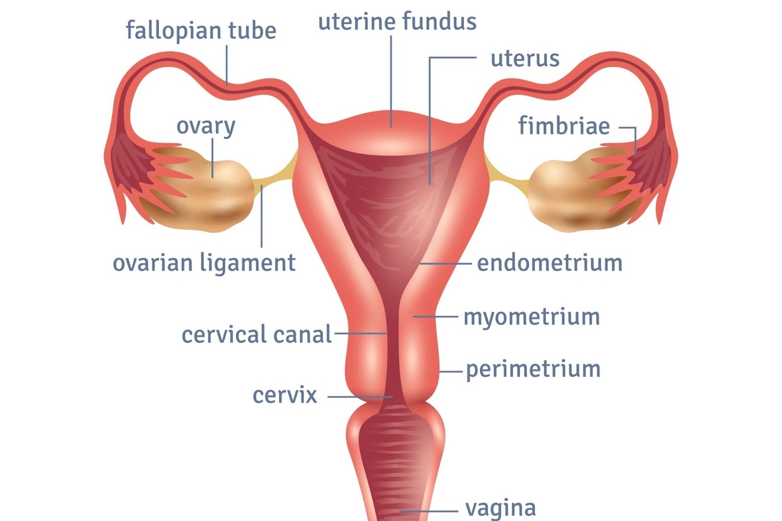 How to Prepare for Your Appointment